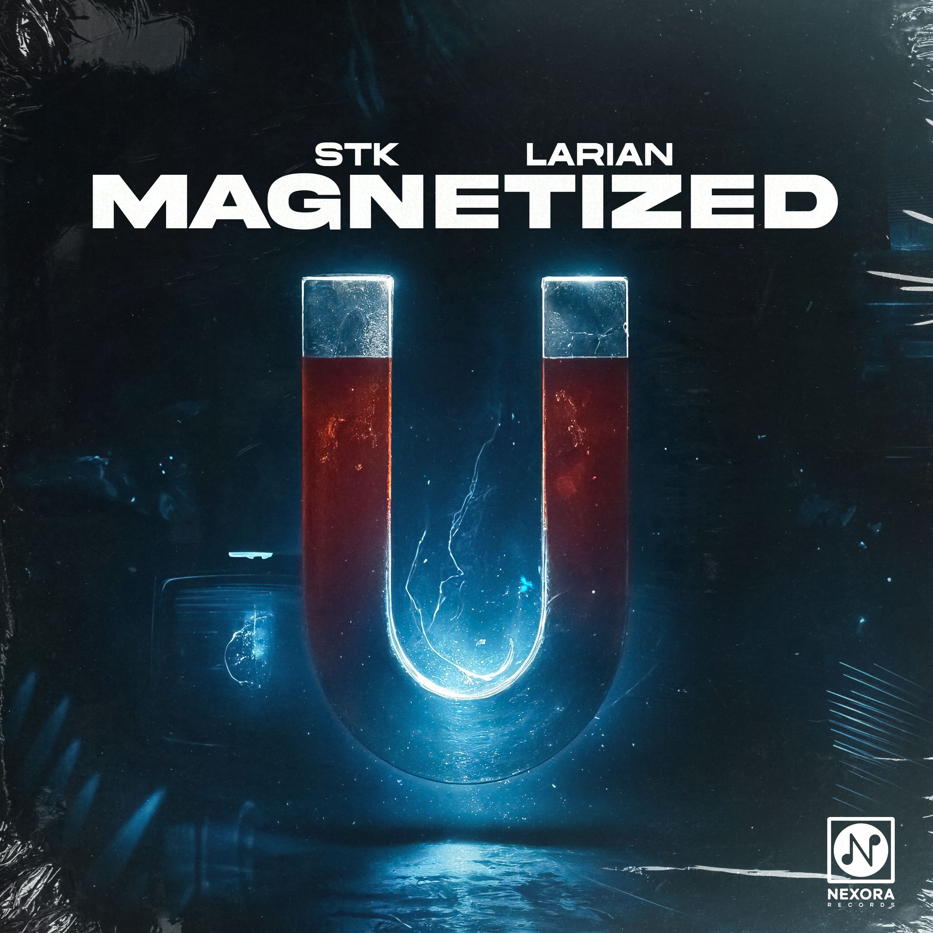 Cover of Magnetized