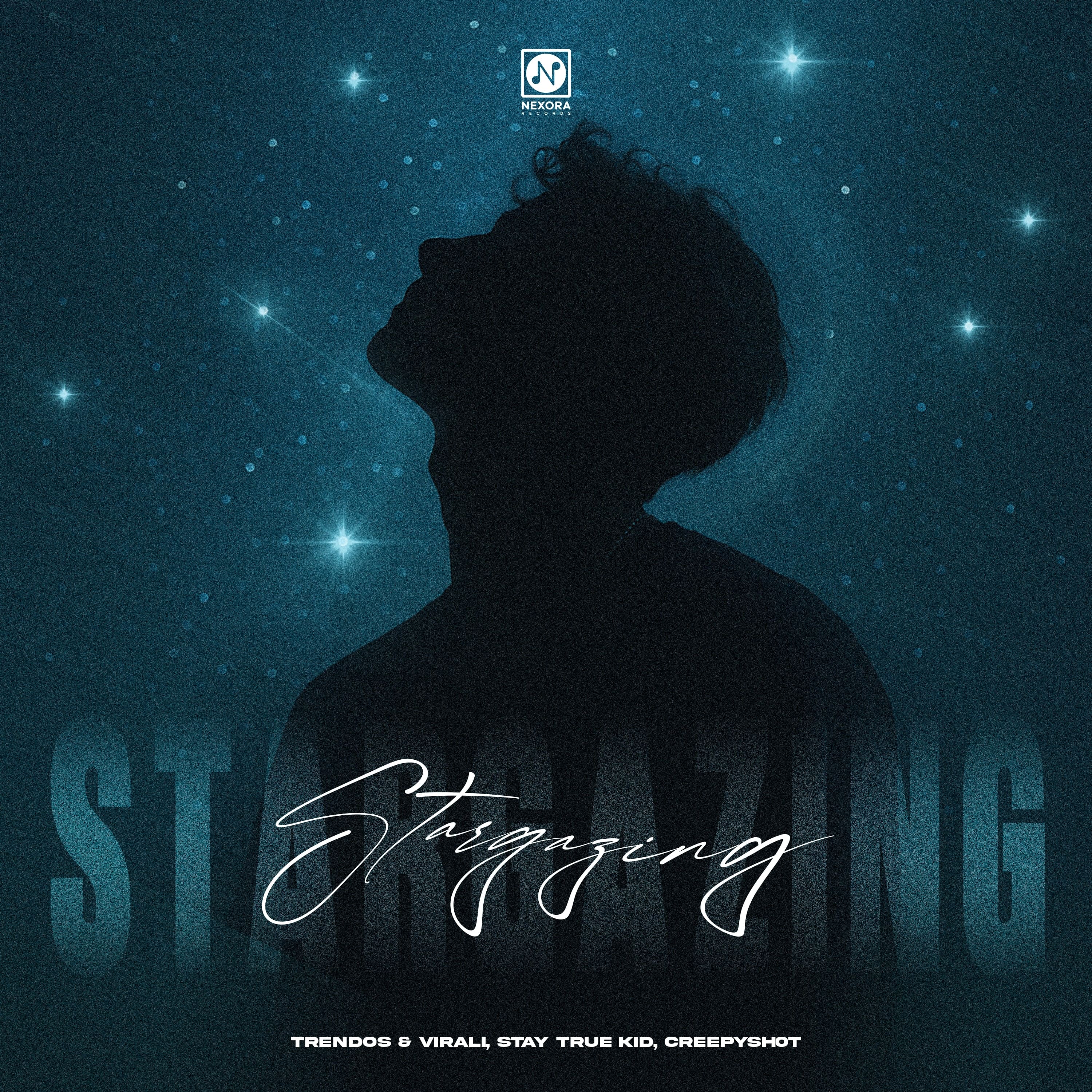 Cover of Stargazing